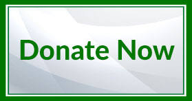 Green and gray button reading Donate Now